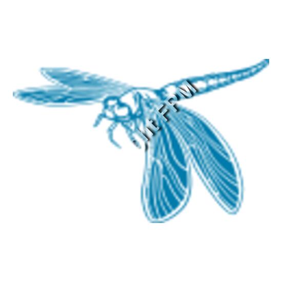 509 Dragonfly Thumbnail