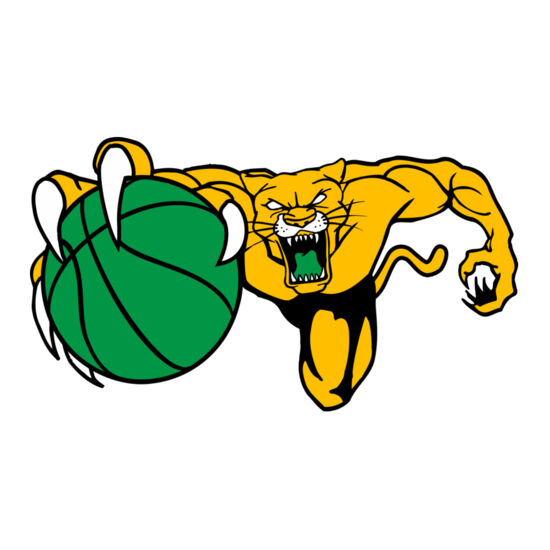 515 Cougar Basketball Thumbnail