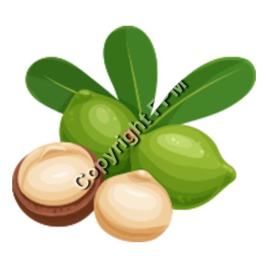 151 Macadamia Thumbnail