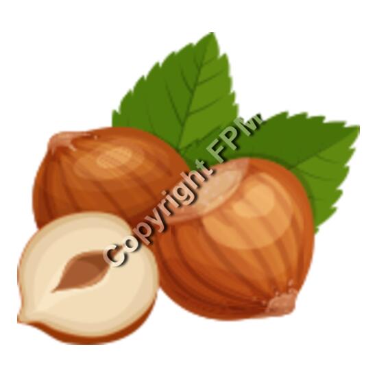 152 Hazelnuts Thumbnail