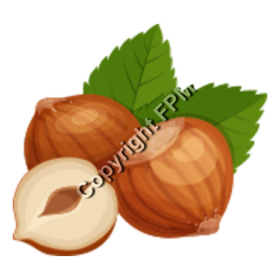 152 Hazelnuts Thumbnail