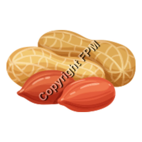 153 Peanut Thumbnail