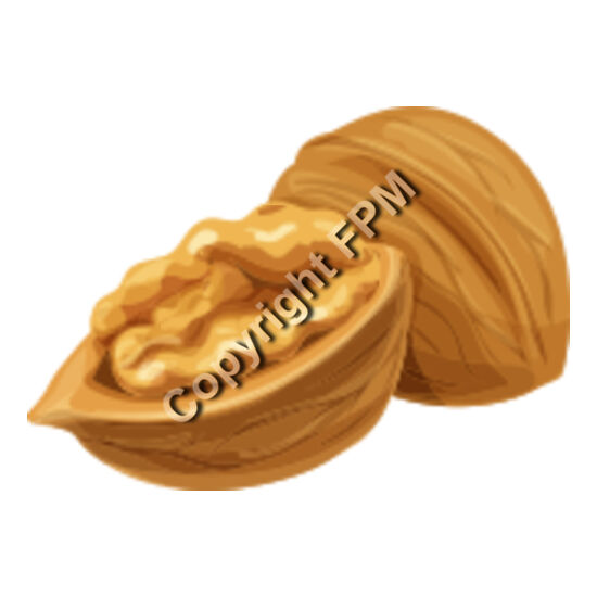 154 Walnut Thumbnail