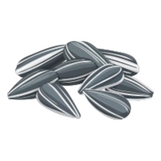 156 Sunflower Seeds Thumbnail