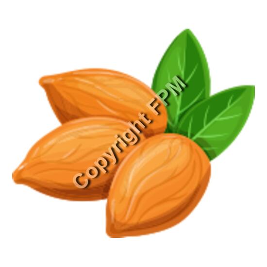 157 Almond Thumbnail