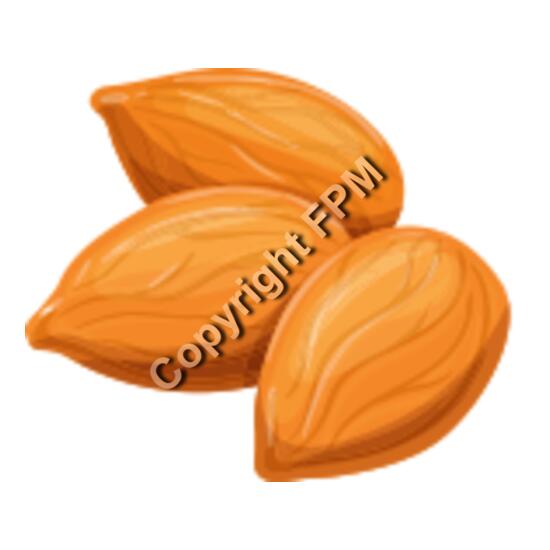 158 Almond Thumbnail