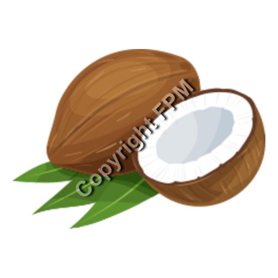 162 Coconut Thumbnail