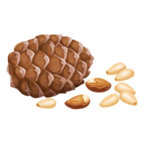 163 Pine Nuts Thumbnail