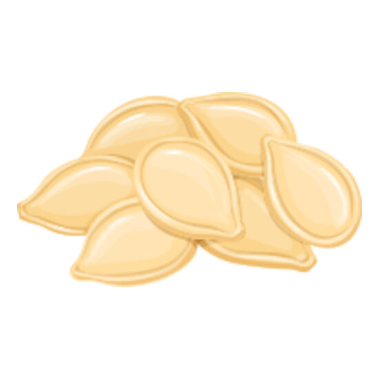 166 Pumpkin Seeds Thumbnail