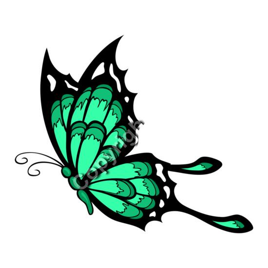 530 Butterfly Thumbnail