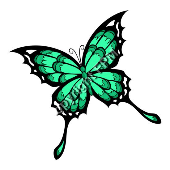 531 Butterfly Thumbnail