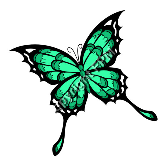 531 Butterfly Thumbnail