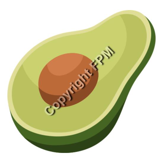 146 Avocado Thumbnail