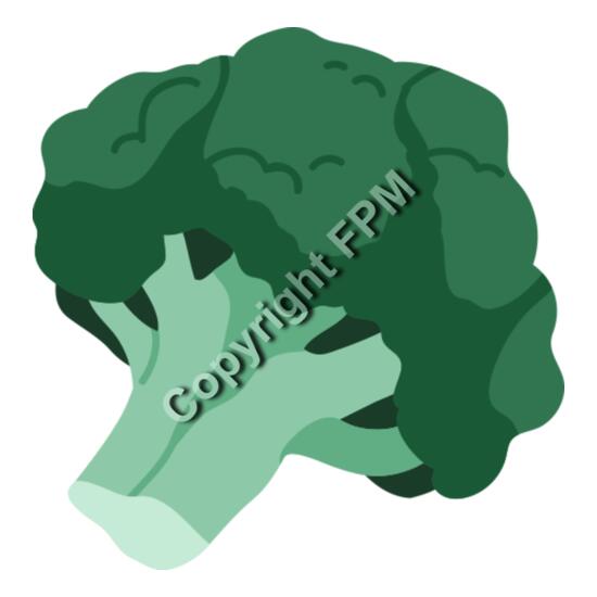 152 Broccoli Thumbnail