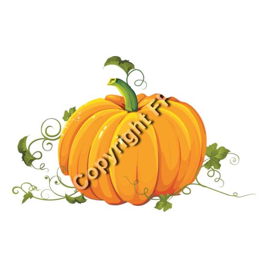 253 Pumpkin Thumbnail