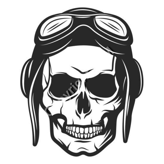 9020 Pilot Skull Thumbnail