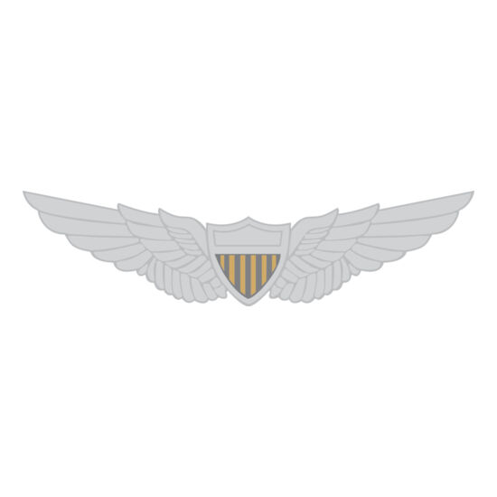 9004 Army Wings Thumbnail