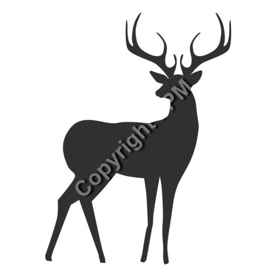 802 Deer Thumbnail