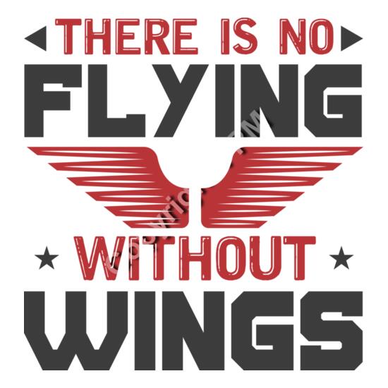 9032 There is no flying Thumbnail