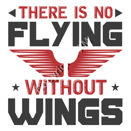 9032 There is no flying Thumbnail