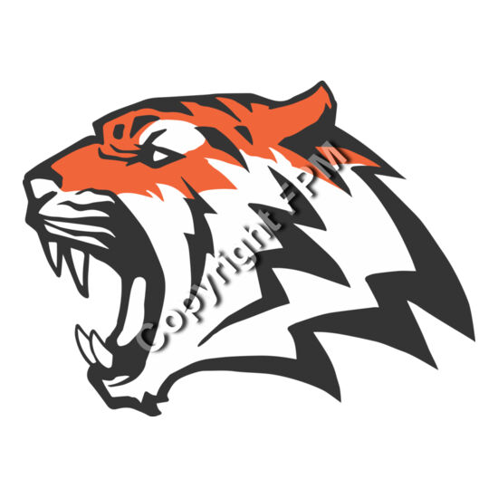 8093 Tiger Thumbnail