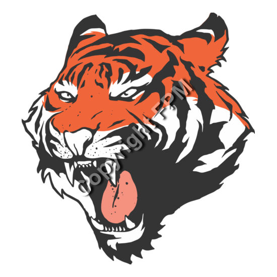 8094 Tiger Thumbnail