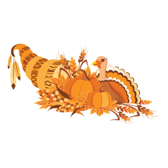 8080 Turkey Thumbnail