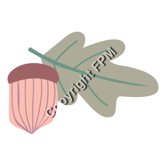 1321 Acorn Thumbnail