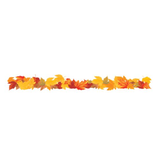 250 Fall Leaves Border Thumbnail