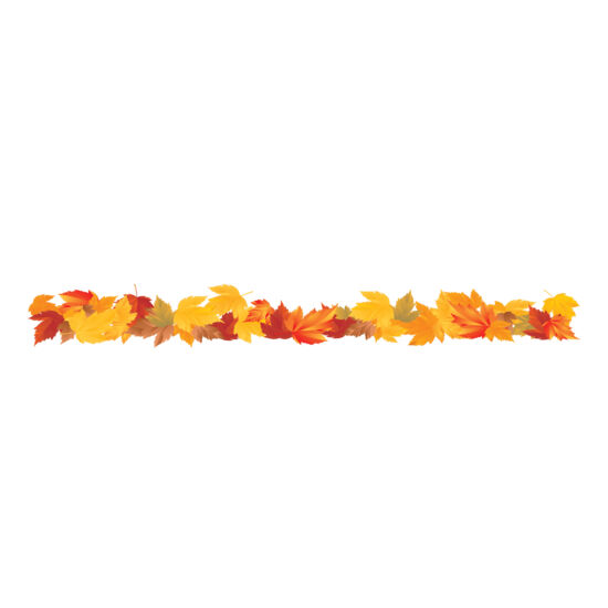 250 Fall Leaves Border Thumbnail