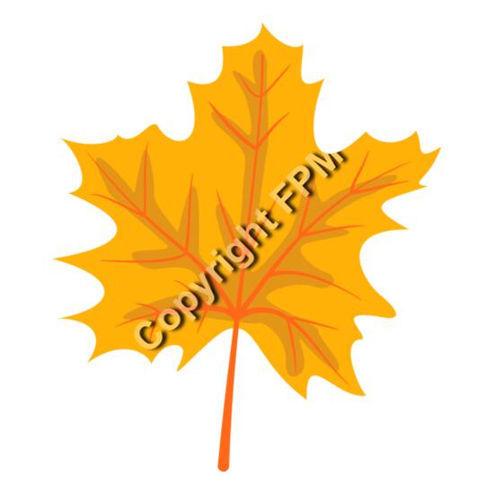 259 Maple Leaf Thumbnail