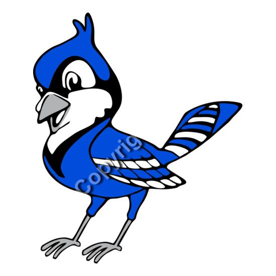 1029 Jay Birds Thumbnail