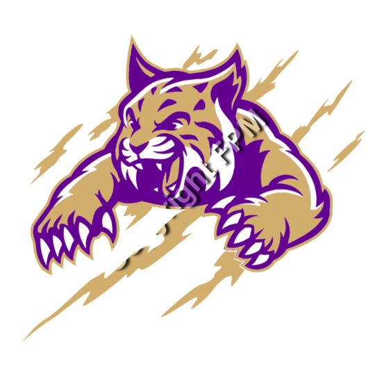 502 Bobcat Thumbnail