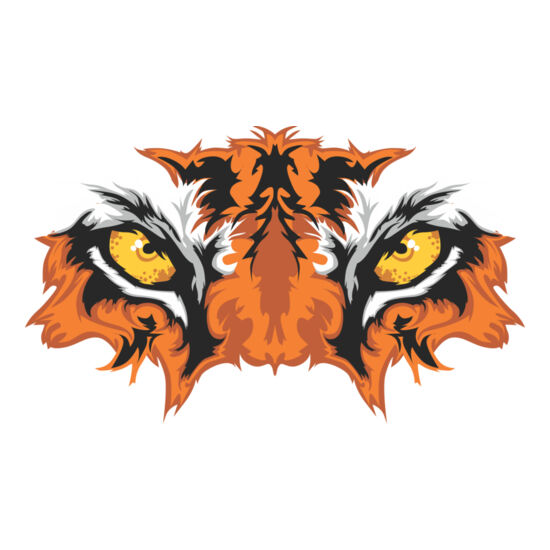 8070 Tiger Eyes Thumbnail