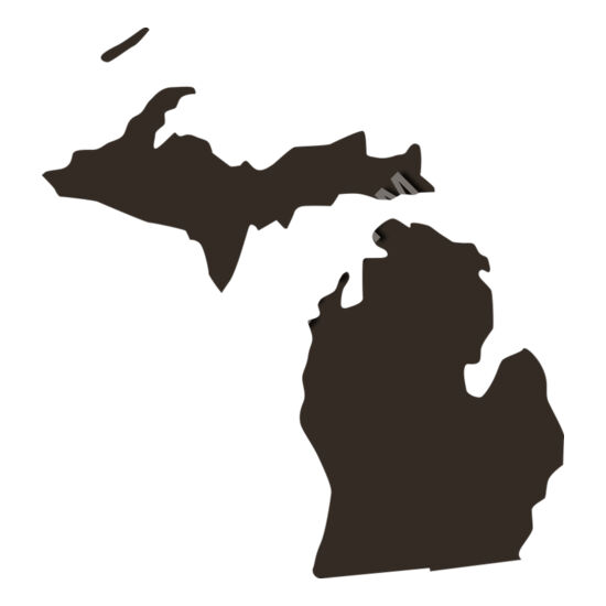 22 Michigan Thumbnail