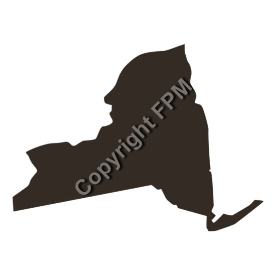 31 New York Thumbnail