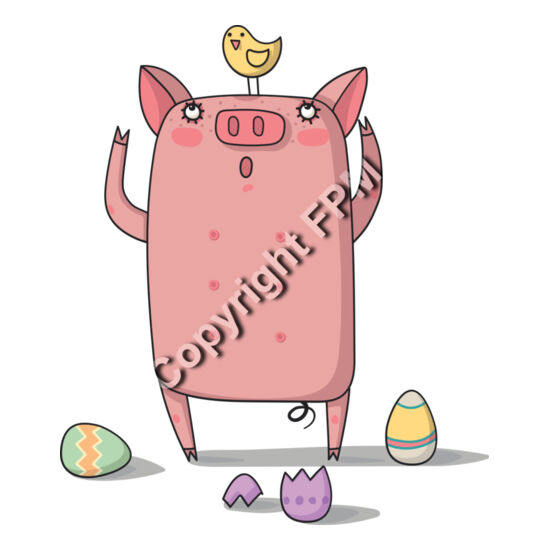 11 Pig Chick Thumbnail