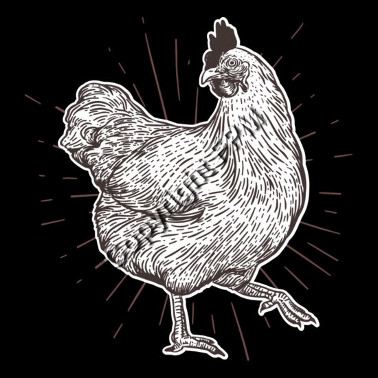 A1009 Chicken Thumbnail