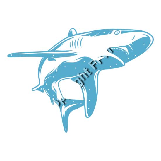 A1095 Shark Thumbnail