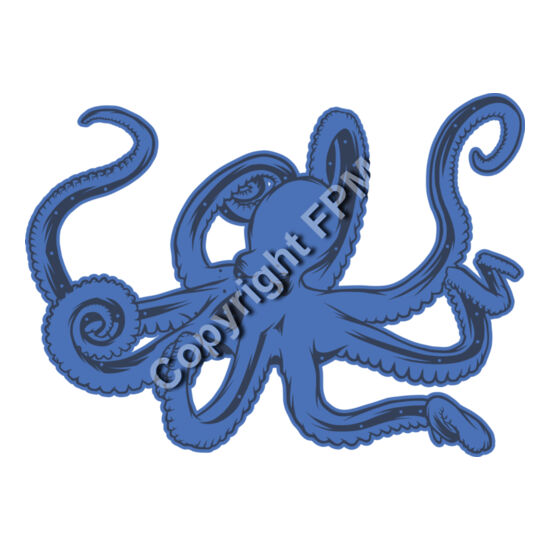 A1097 Octopus Thumbnail