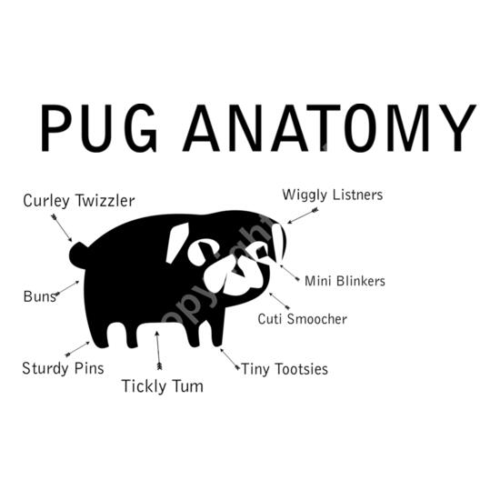 A1051 Pug Thumbnail