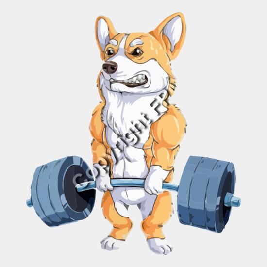 A1203 Fitness Thumbnail