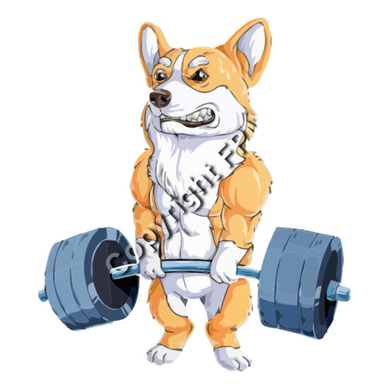 A1203 Fitness Thumbnail