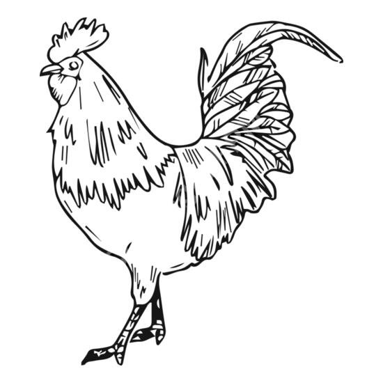 A1204 Chicken Thumbnail