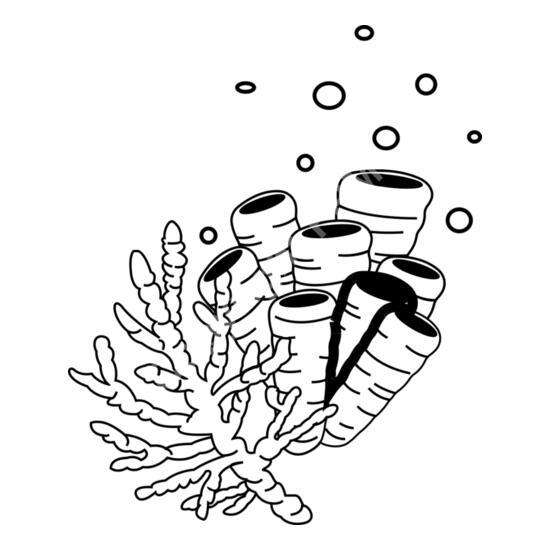 A1208 Coral Thumbnail