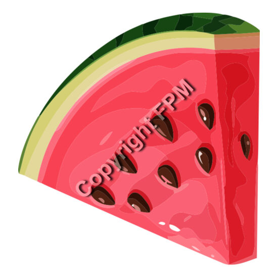 A1213 Watermelon Thumbnail