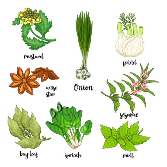 A1232 Herbs Thumbnail