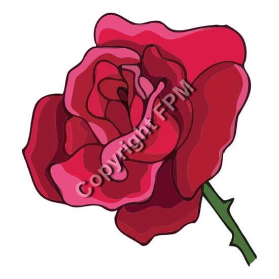 A1243 Rose Thumbnail