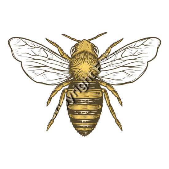 A1260 Honey Bee Thumbnail