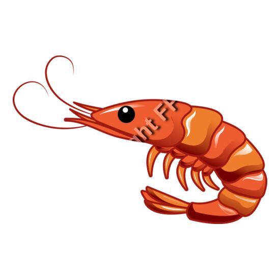 A1261 Shrimp Thumbnail